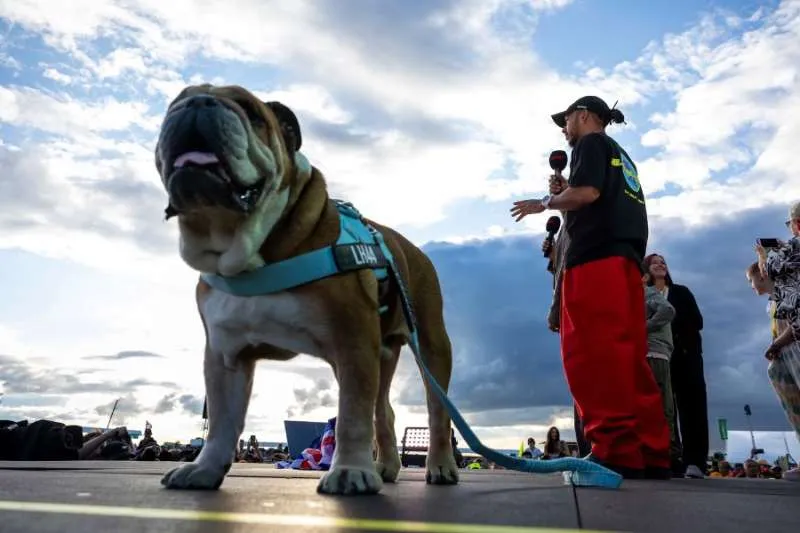 LEWIS HAMILTON MOURNS BELOVED DOG ROSCOE AFTER HEARTBREAKING GOODBYE