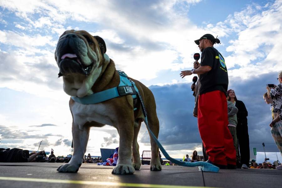 LEWIS HAMILTON MOURNS BELOVED DOG ROSCOE AFTER HEARTBREAKING GOODBYE