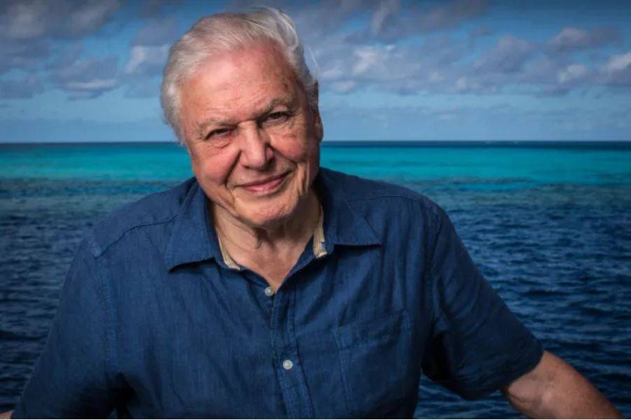 David Attenborough: “I’m Nearing the End”